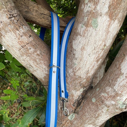 Dogtraining101 Black Biothane Reflective Blue Lead 1.5M