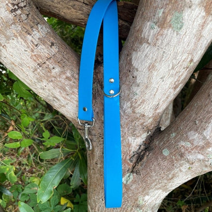 Dogtraining101 Black Biothane Sky Blue Lead 1.5M