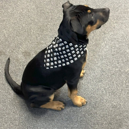 Dogtraining101 Black with White Paws Bandanna