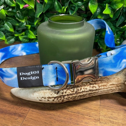 Dogtraining101 Medium / Silver Blue Smoke Metal Clip Collar