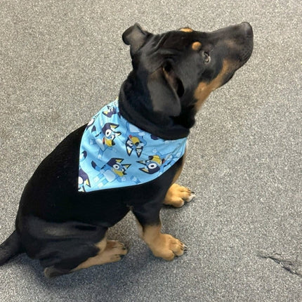 Dogtraining101 Bluey Bandanna