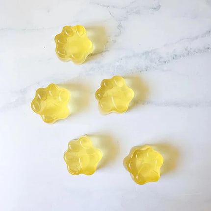 Raw Pawz Bone Broth Diy Gummies