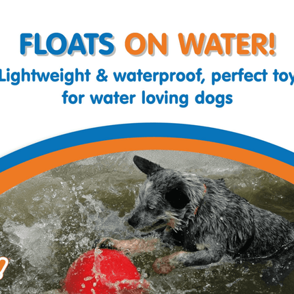 Dogtraining101 Retail Super Store Boomer Ball 10"