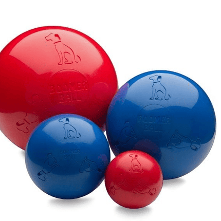 Dogtraining101 Retail Super Store Boomer Ball 6"