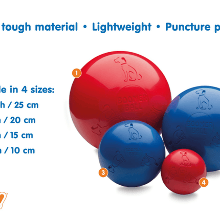 Dogtraining101 Retail Super Store Boomer Ball 8"