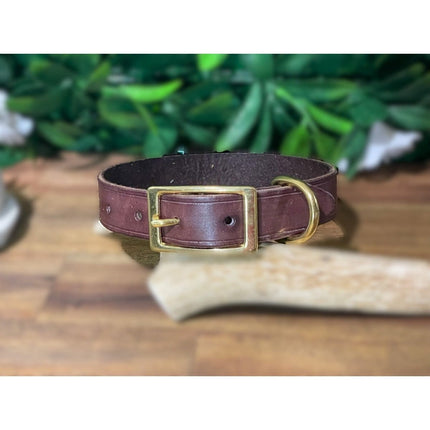 Dogtraining101 Extra Large Brisbane Tan Leather Collar