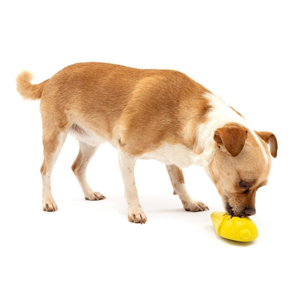 Pet Safe Busy Buddy Frosty Cone