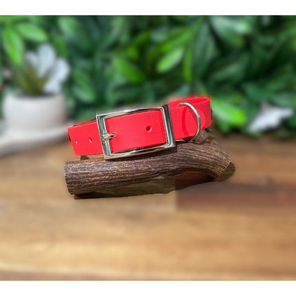 Dogtraining101 Extra Large / Silver Candy Red Biothane Collar