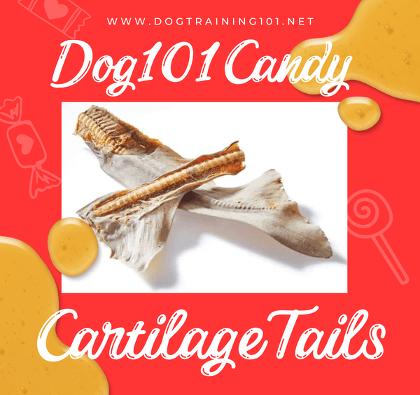 Dogtraining101 Cartilage Tails