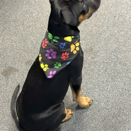 Dogtraining101 Coloured Paws Bandana