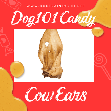 Dogtraining101 Treats Cow Ears