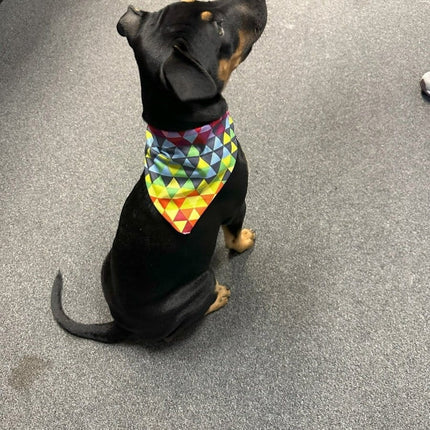 Dogtraining101 Crazy Triangles Bandanna