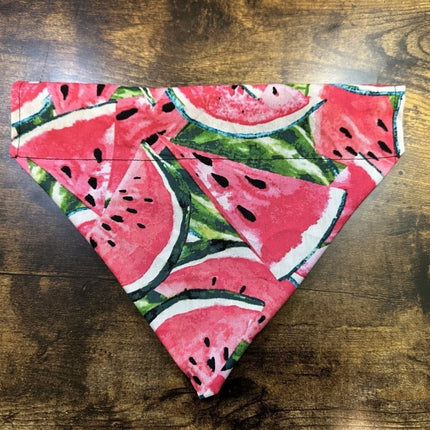 Dogtraining101 Medium Cut Watermelon Bandanna
