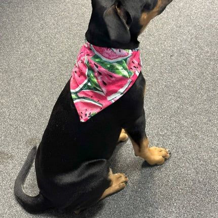Dogtraining101 Cut Watermelon Bandanna