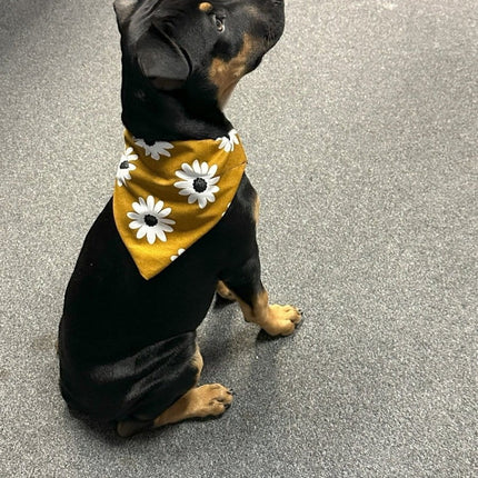 Dogtraining101 Daisy Bandanna