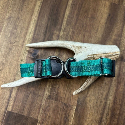 Dogtraining101 Medium Dark Green/Emerald - 2 Tone Double Up Collar