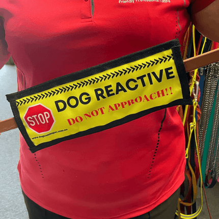 Dogtraining101 Dog Reactive - Leash Banner