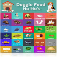 Dangerous Foods to Dogs