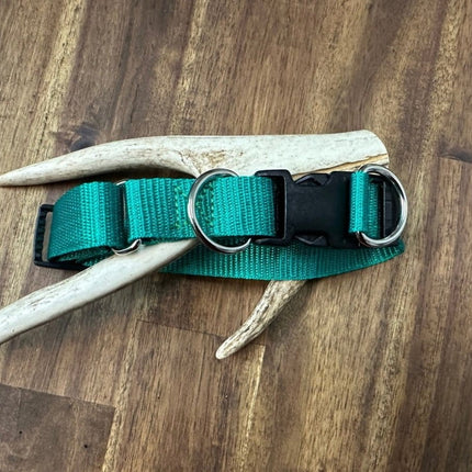Dogtraining101 Emerald Green - Black Clip Double Up Collar