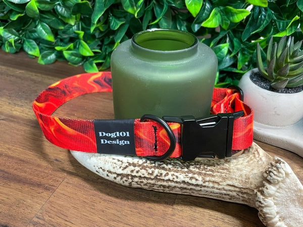 Dogtraining101 Flames Metal Clip Collar