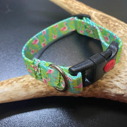 Dogtraining101 Retail Super Store Flamingo Webbing Collar (Small/Puppy)