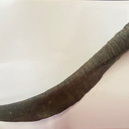 Wag Treats Goat Horn with Marrow