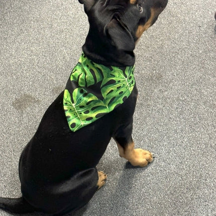 Dogtraining101 Green Palm Bandanna