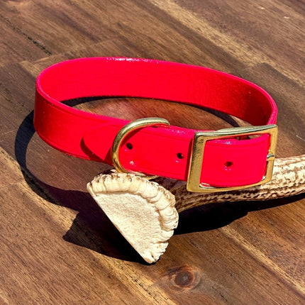 Dogtraining101 Puppy Hand Painted Leather - Jamaican Joy