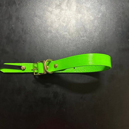 Dogtraining101 Puppy Hand Painted Leather -  Joker Green