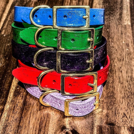 Dogtraining101 Hand Painted Leather -  Mint