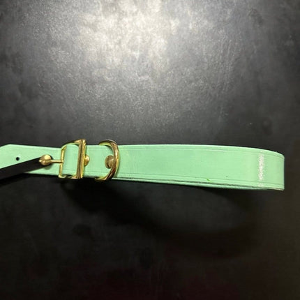 Dogtraining101 Puppy Hand Painted Leather -  Mint
