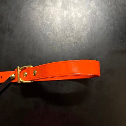 Dogtraining101 Puppy Hand Painted Leather -  Orange