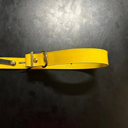 Dogtraining101 Puppy Hand Painted Leather -  Thunder Yellow