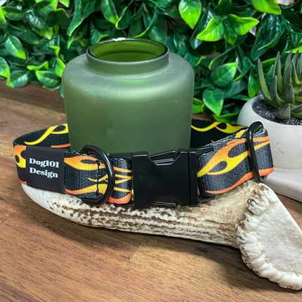 Dogtraining101 Hot Rod Metal Clip Collar