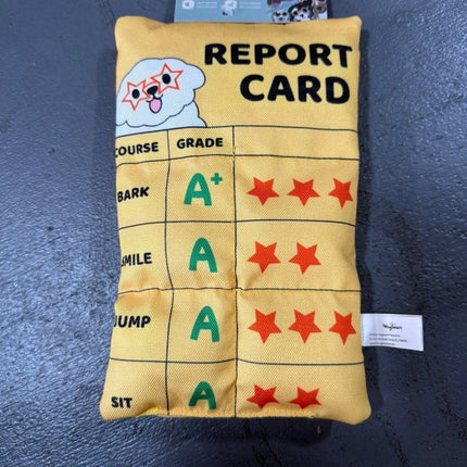 Hugsmart Hugsmart - Fuzzy Friends - Report Card