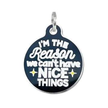 Bad Tags I'm the reason we can't have nice things charm or pet id tag