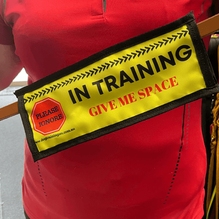 Dogtraining101 In Training - Leash Banner