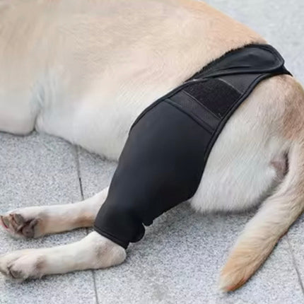 Dogtraining101 Retail Dog Super Store Injury Brace for Dogs