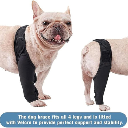 Dogtraining101 Retail Dog Super Store Injury Brace for Dogs