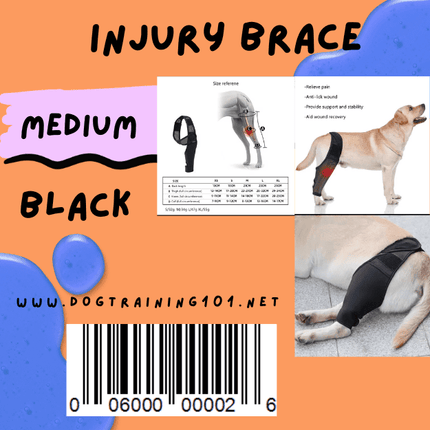 Dogtraining101 Retail Dog Super Store Medium Injury Brace for Dogs