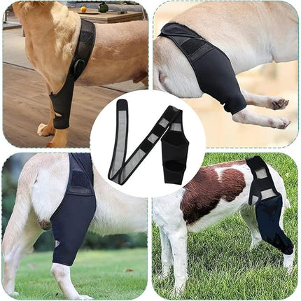 Dogtraining101 Retail Dog Super Store Injury Brace for Dogs