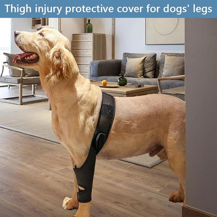 Dogtraining101 Retail Dog Super Store Injury Brace for Dogs