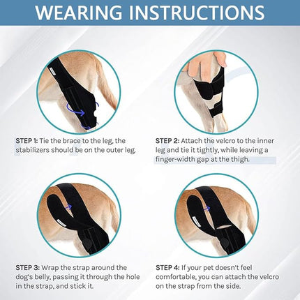Dogtraining101 Retail Dog Super Store Injury Brace for Dogs