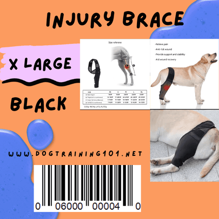 Dogtraining101 Retail Dog Super Store XLarge Injury Brace for Dogs