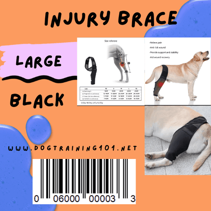 Dogtraining101 Retail Dog Super Store Large Injury Brace for Dogs