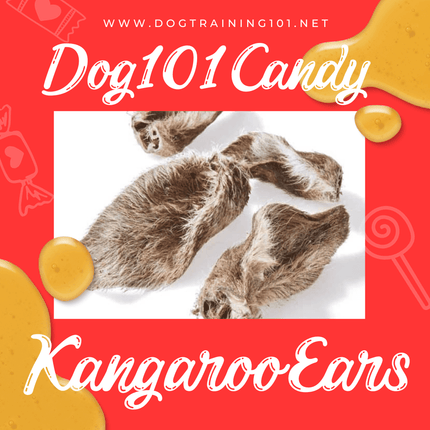 Dogtraining101 Treats Kangaroo Ears