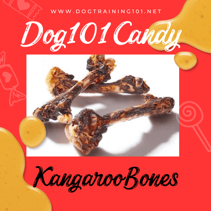 Dogtraining101 Kangaroo Leg Bone