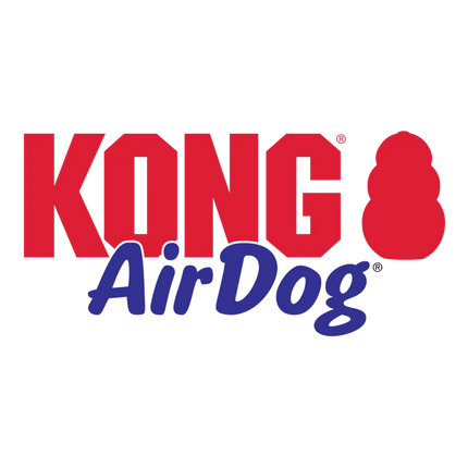 Kong Kong Halloween AirDog® Squeaker Egg 2-pk Md