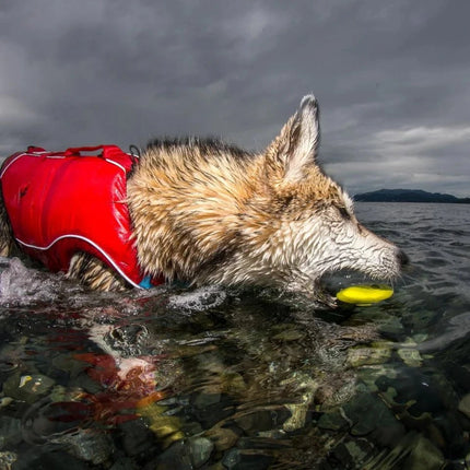 Kurgo Kurgo -Skipping Stones Floating Fetch Dog Toy