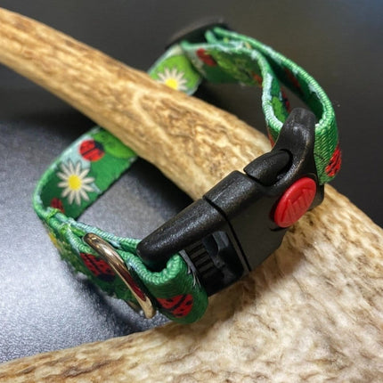 Dogtraining101 Retail Super Store Ladybug Webbing Collar (Small/Puppy)